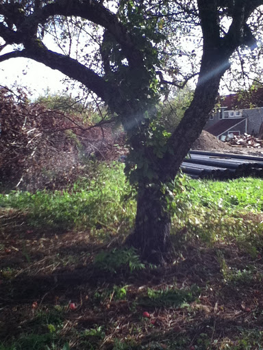Spotting Image 1