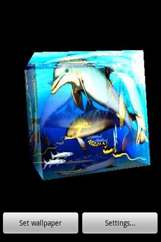 3D Dolphin 3