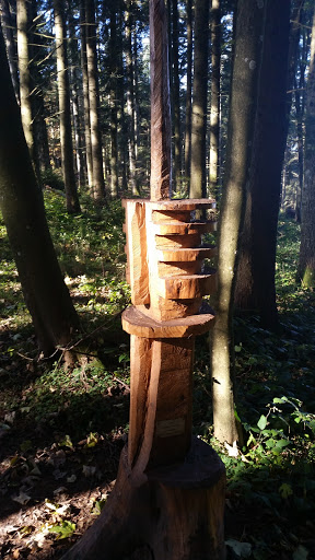 Wood Antenne Du Gibloux