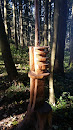 Wood Antenne Du Gibloux