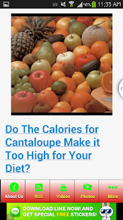 How to install Effective Fruit Diet lastet apk for pc