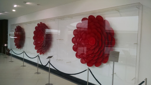 3 Petals Made out of Plates