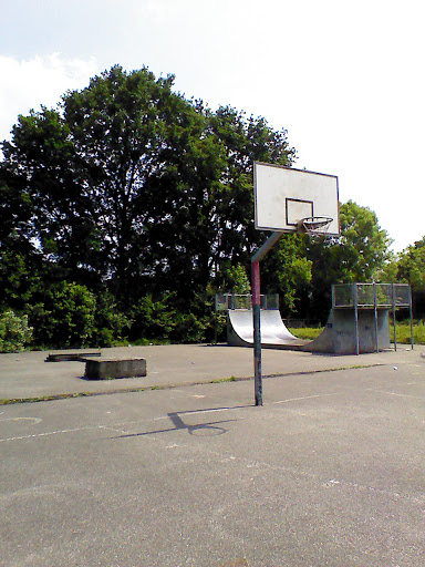 Public Skatepark And Basketball Field