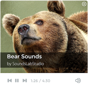 How to install Bear Sounds 1.3.1 apk for laptop