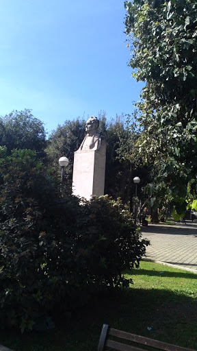 Busto Pietro Ravanas