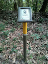Wilson's Trail Distance Post