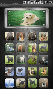 How to get Sounds of cats and dogs patch 1.0.3 apk for laptop
