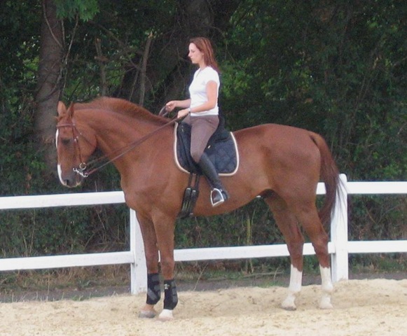 [2008-08-14 chez Zazette 101[10].jpg]