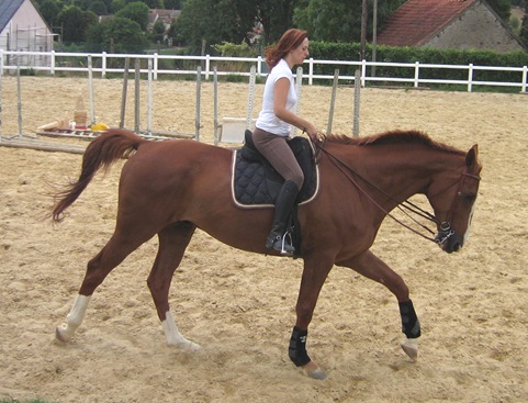 2008-08-14 chez Zazette 106