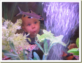 Disneyland Vacation 2008 323