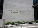 Lurleen B. Wallace Tumor Institute