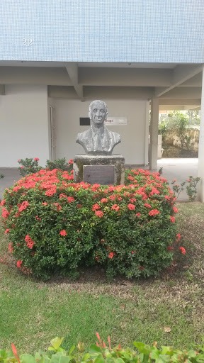 Busto Marne Dos Santos Lima