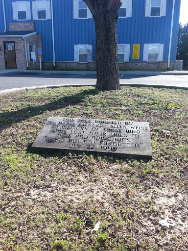 Saenz and Weiss Memorial Tree
