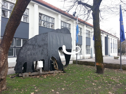 Kamnik Black Mammoth