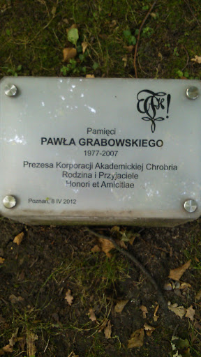 Pamięci Pawła Grabowskiego