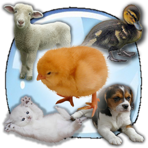 Baby Animals Sound Quiz! LOGO-APP點子