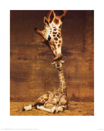 [This Kiss[2].png]