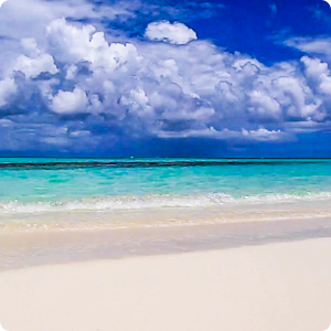 Ocean Waves Live Wallpaper 51.apk 3.0