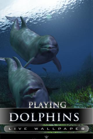 dolphin live wallpaper