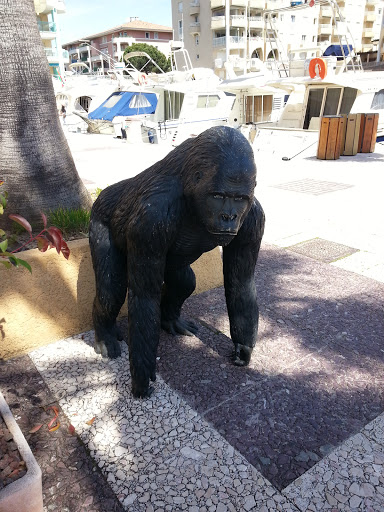 Gorille dans le Port