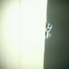 Unknown spotting