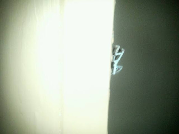 Spotting Image 1