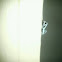 Unknown spotting