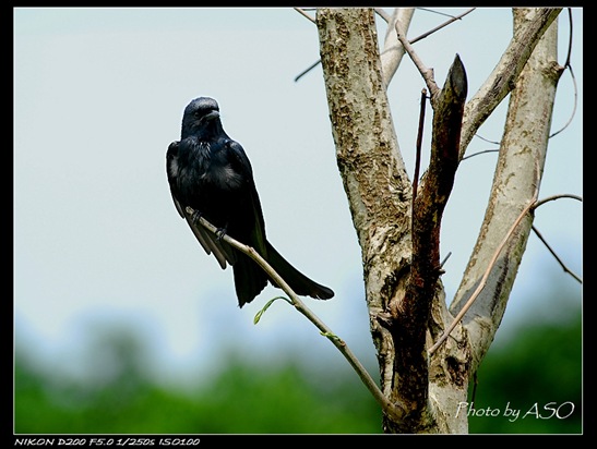['r>(2008-04-27àÈ`)0149[3].jpg]