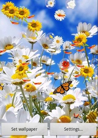 Android application Flowers Pro Live Wallpaper screenshort