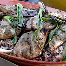 Grilled Mahi Mahi with Jerk Spice