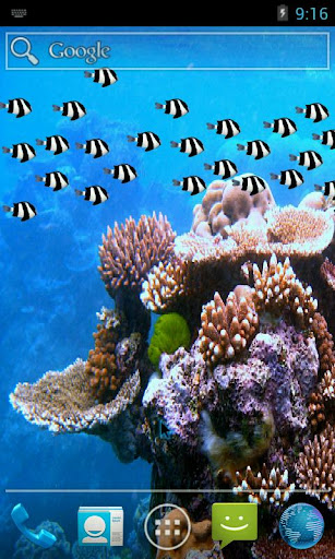 Fish School Live Wallpaper