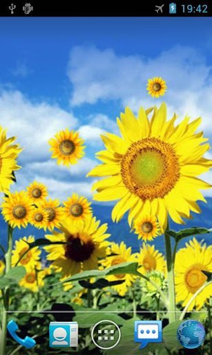 Sunflower Live Wallpaper