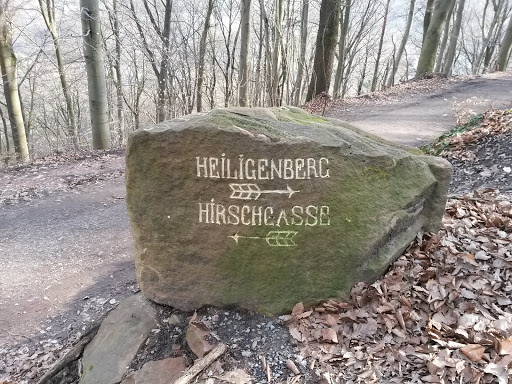 Wegstein Richtung Hirschgasse