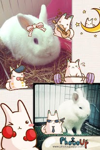 How to install Nabbit Cam by PhotoUp 1.01 mod apk for laptop