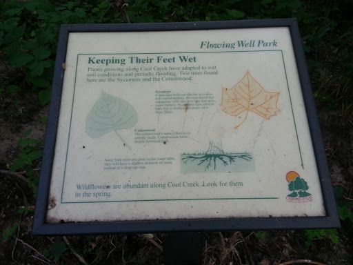 Flowing Well Park: Keeping Their Feet Wet