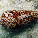 Textile Cone