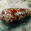 Textile Cone