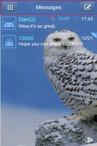 GO SMS Snow Owl Theme