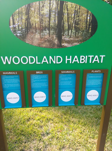 Knowledge Walk - Woodland Habitat