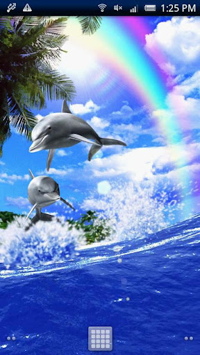 Dolphin Rainbow Trial