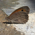 Small Heath