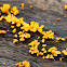 Yellow Brain