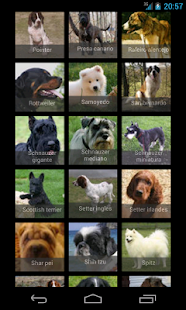 How to install Dog calculator lastet apk for laptop