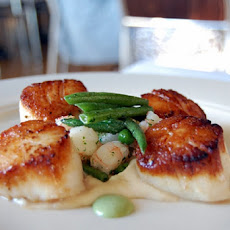 Scallop Appetizer