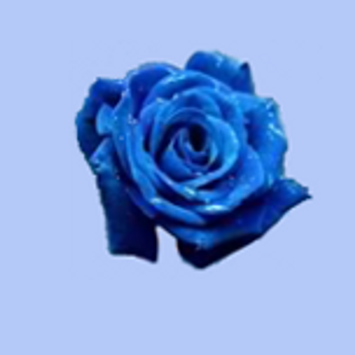 Rose_BlueTheme 通訊 App LOGO-APP開箱王