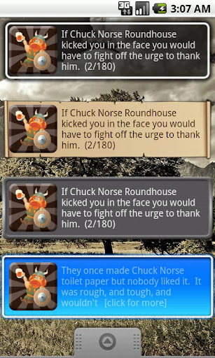 Chuck Norse Facts with Widget