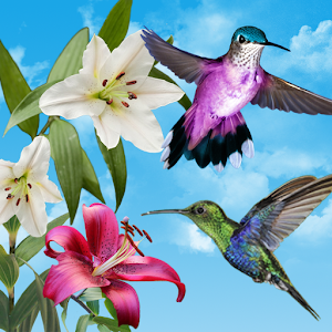 Birds Live Wallpaper for PC-Windows 7,8,10 and Mac