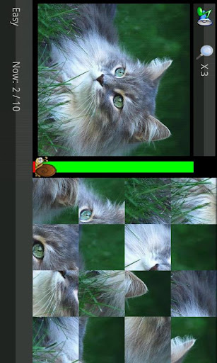 【免費休閒App】拼图游戏（高清）图集（可爱猫猫主题）-APP點子