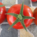 Cherry Tomato
