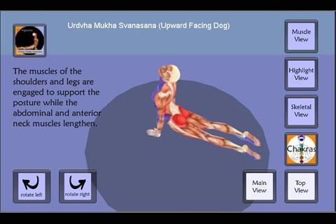 Yoga Asana : Updog